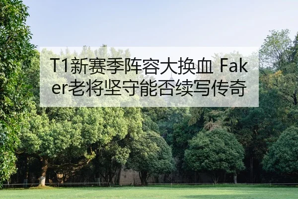 xin-sai-ji-zhen-rong-da-huan-xie-lao-jiang-jian-shou-neng-fou-xu-xie-chuan-qi-2-957.jpg