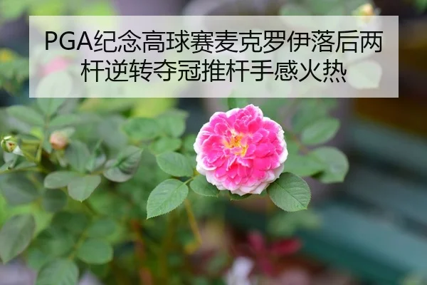 PGA纪念高球赛麦克罗伊落后两杆逆转夺冠推杆手感火热